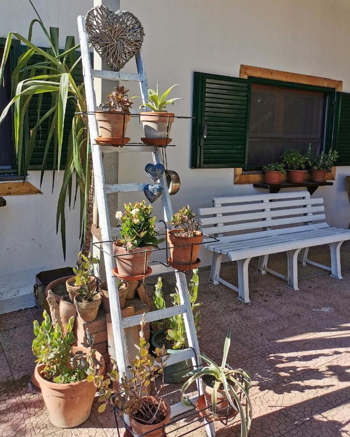 Sunset Valley Village Motta Sant' Anastasia Exterior photo