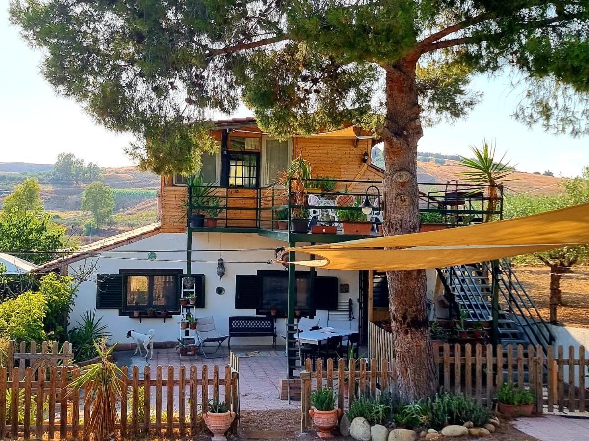 Sunset Valley Village Motta Sant' Anastasia Exterior photo