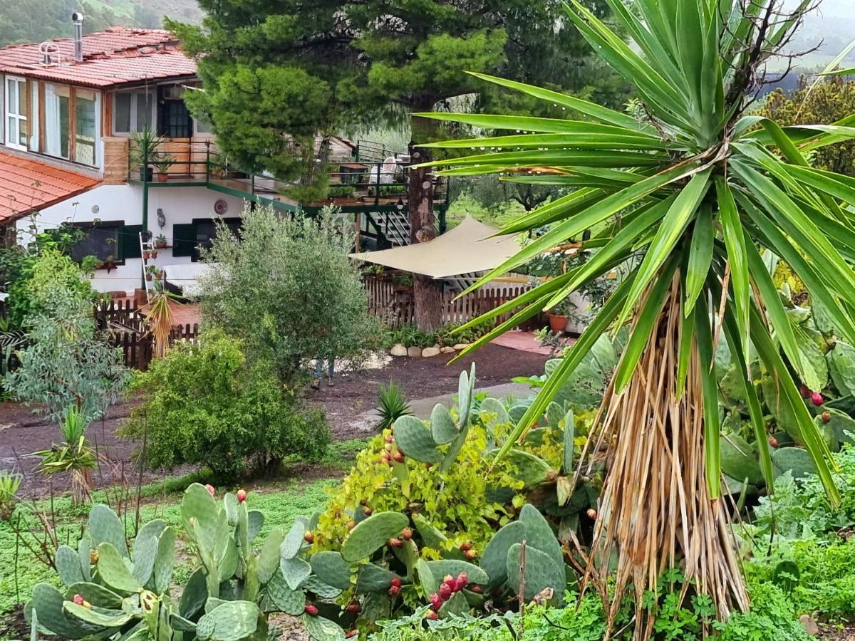 Sunset Valley Village Motta Sant' Anastasia Exterior photo